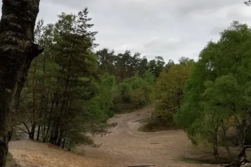 2. Hellendoornse Berg